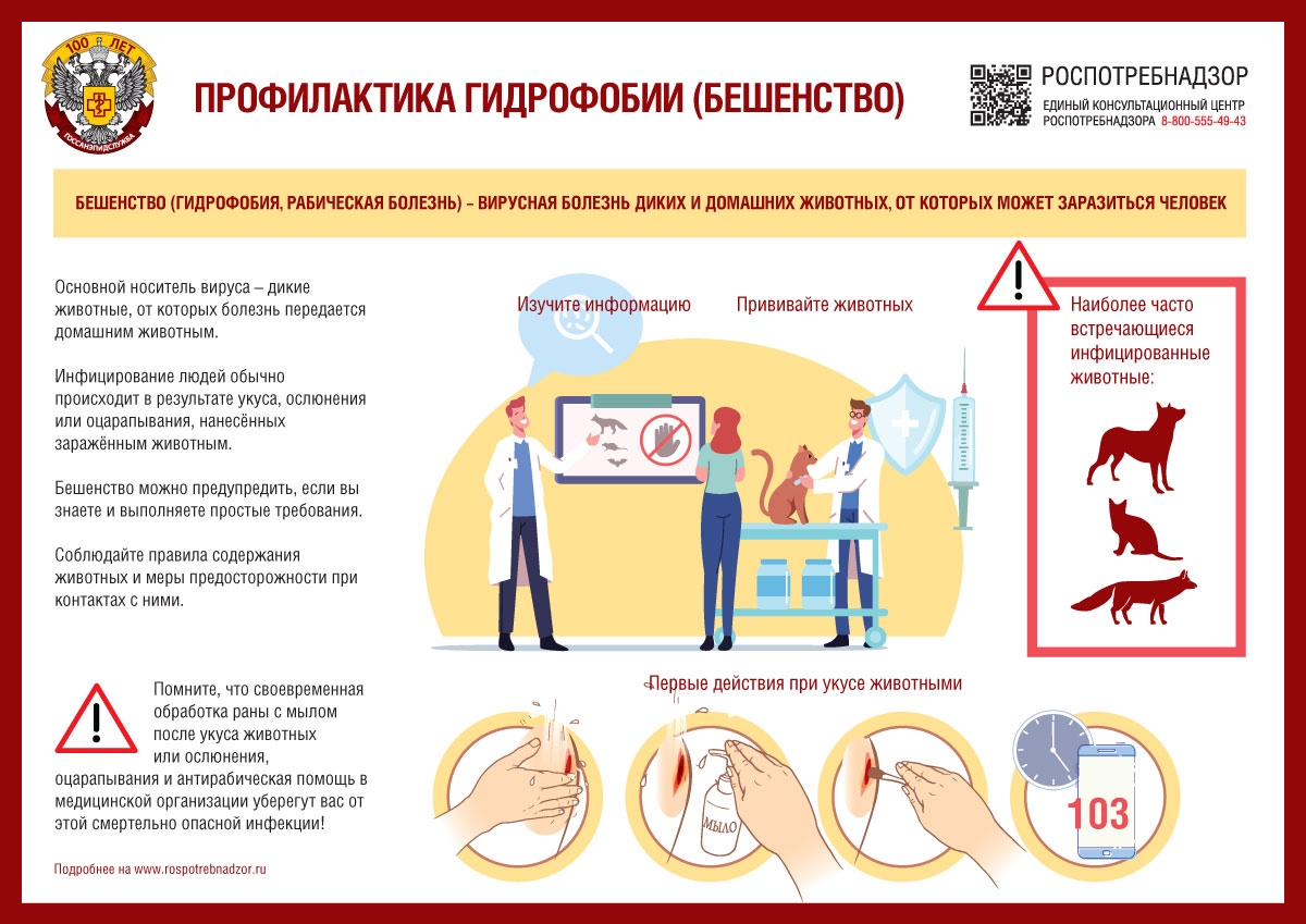 РЕКОМЕНДАЦИИ ГРАЖДАНАМ: Профилактика бешенства | КМЦ г. Читы